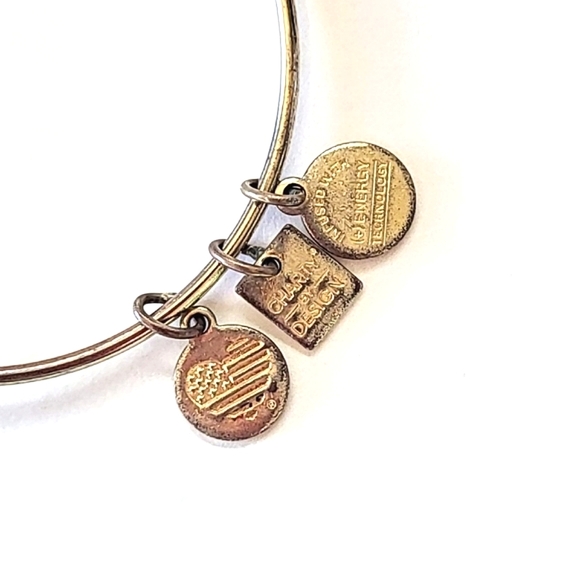 ALEX AND ANI "THE WAY HOME" CHARITY BY DESIGN BANGLE BRACELET - Picture 3 of 7